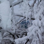 December 3-án elindult a 2014/15-ös téli szezon Bukovelben!