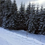 Képek: magyar csapat Bukovelben szilveszterkor (2015/16)