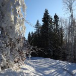 December 6-án indul a 2019/2020-as síszezon Bukovelben!